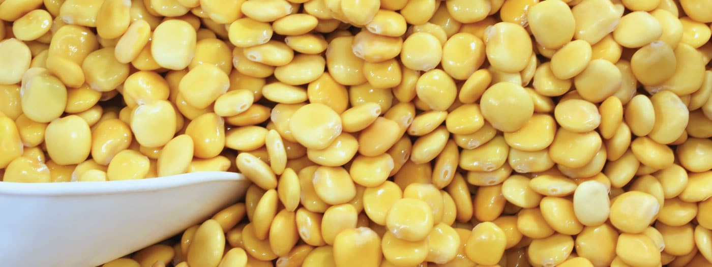 Chocho: El superhéroe de la comida ecuatoriana Chocho: El superhéroe de la comida ecuatoriana