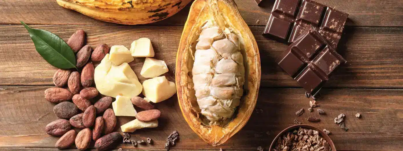 Cinco productos derivados del cacao