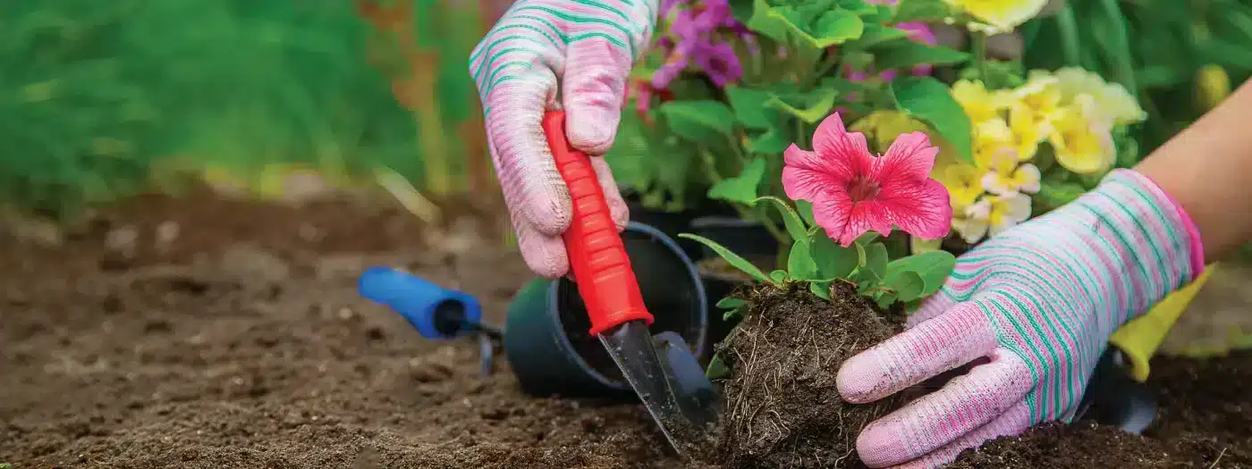 Embellece tu jardín con buen gusto y creatividad