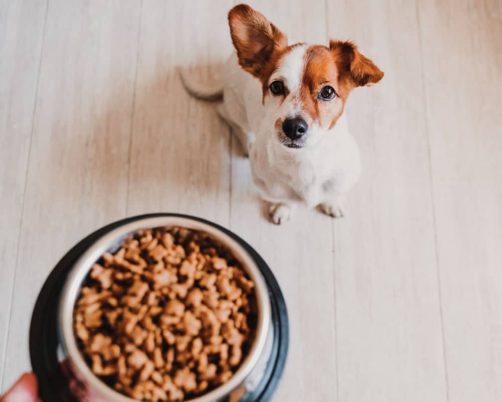 snacks y alimentos