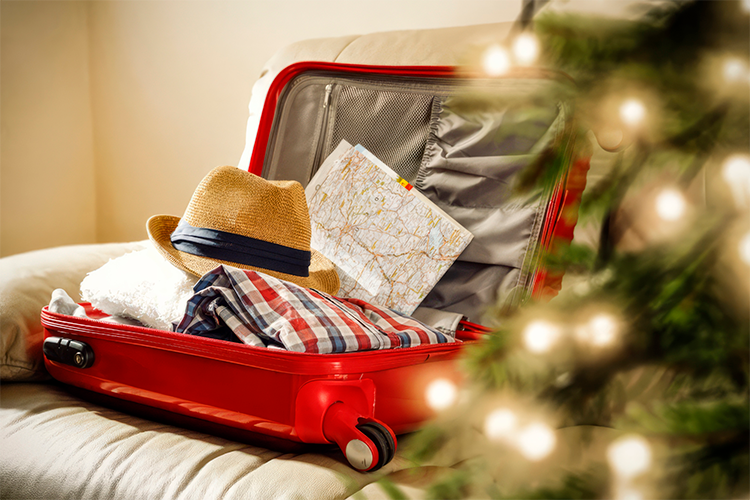 Feriado de Navidad en familia: 3 planes inolvidables para disfrutar al máximo Feriado de Navidad en familia: 3 planes inolvidables para disfrutar al máximo