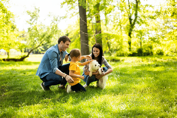 Actividades Familiares al Aire Libre para Conectar con la Naturaleza