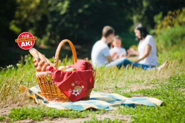 Recomendaciones para Organizar un Picnic al Aire Libre